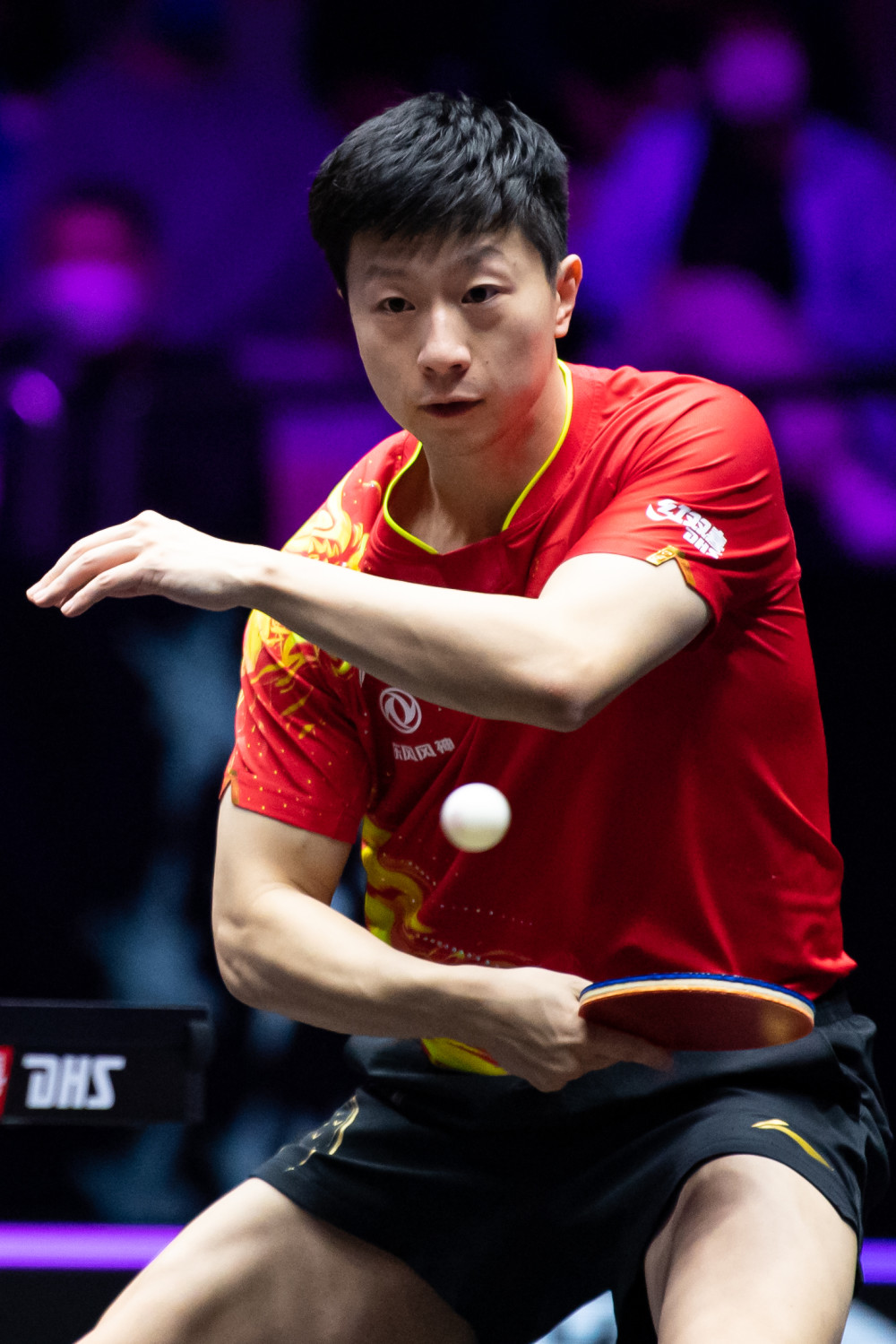 百家乐为什 百家乐为什