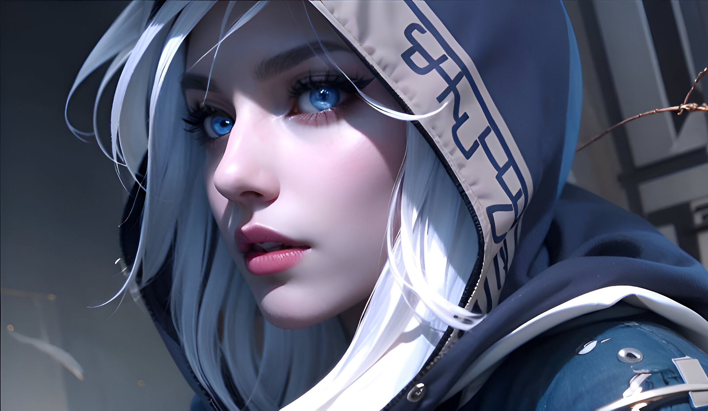 球队的顶层 球队的顶层