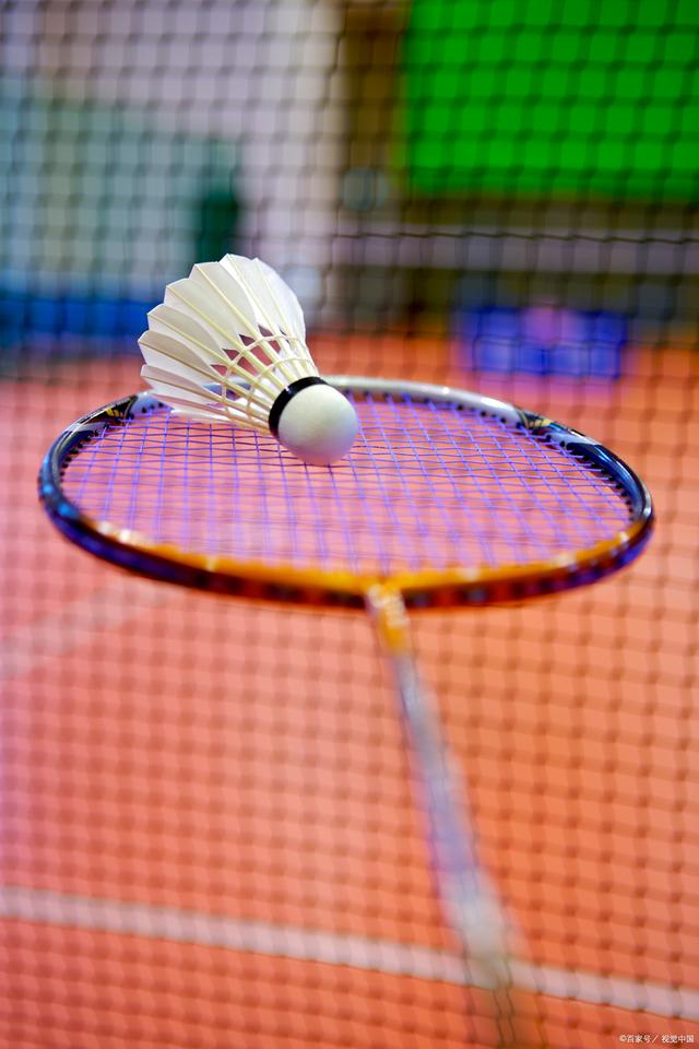 任务自由度 任务自由度